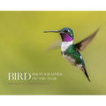 Bird Photographer of the Year