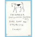 Please Look in the Basement