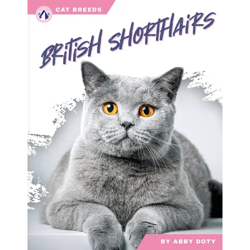 British Shorthairs