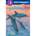 Dolphins!