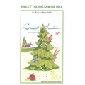 Bailey The Balsam Fir Tree