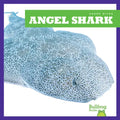Angel Shark