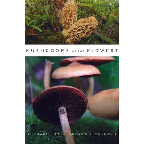 Mushrooms of the Midwest