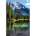 Bursts of Inspiration