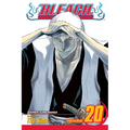 Bleach, Vol. 20