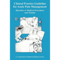 Clinical Practice Guideline for Acute Pain Management: Operative or Medical Procedures and Trauma