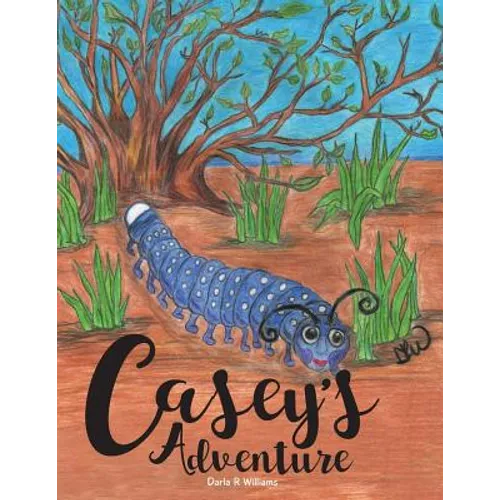 Casey's Adventure