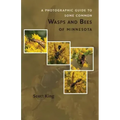 A Photographic Guide to Some Common Wasps and Bees of Minnesota