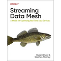 Streaming Data Mesh: A Model for Optimizing Real-Time Data Services