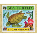 Sea Turtles