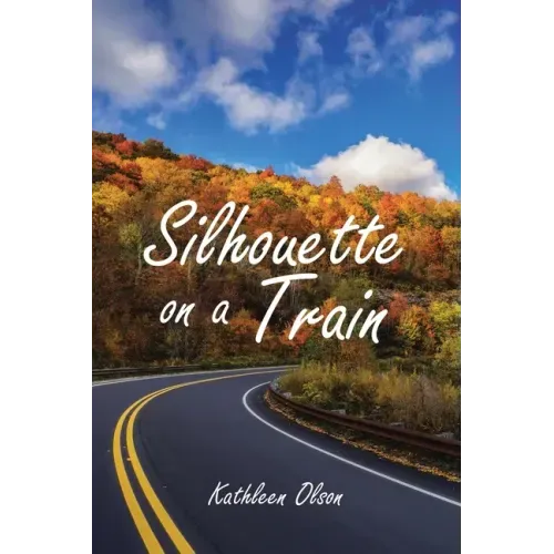 Silhouette on a Train