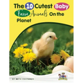 Baby Farm Animals Booklet With Activities for Kids ages 4-8
