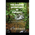 The Amazing Adventures of Two Boys: Bed Time Stories for Children