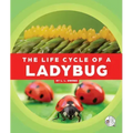 The Life Cycle of a Ladybug