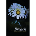 Breach