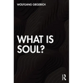 What Is Soul?