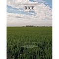 Integrated Pest Management for Rice
