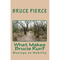 What Makes Brucie Run?: Musings on Mobility