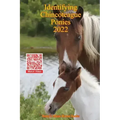 Identifying Chincoteague Ponies 2022