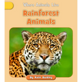 Rainforest Animals