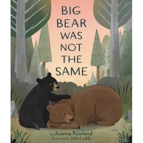 Big Bear Was Not the Same