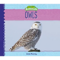 Owls