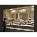 Roxy Paine: The Dioramas