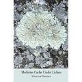 Medicine Cache Under Lichen