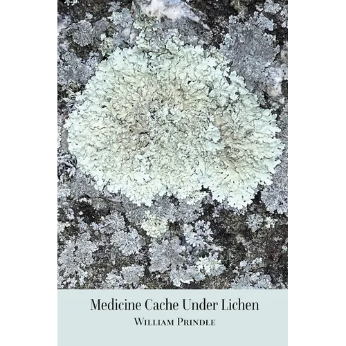 Medicine Cache Under Lichen