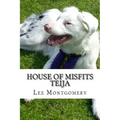 House of Misfits - Teija: Border Collie born deaf and blind