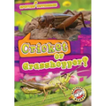 Cricket or Grasshopper?