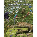 Costa Rica's Magnificent Wildlife