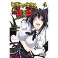High School DXD, Vol. 4 (Light Novel): Vampire of the Suspended Classroom Volume 4