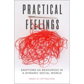 Practical Feelings: Emotions as Resources in a Dynamic Social World