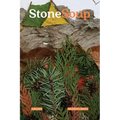 Stone Soup Magazine: June 2022