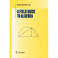 A Field Guide to Algebra