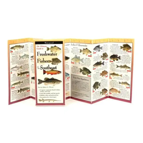 Freshwater Fishes of the Southeast