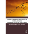 Migration and Intercultural Psychoanalysis: Unconscious Forces and Clinical Issues