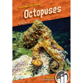 Octopuses