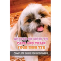 Advice On How To Care And Train Your Shih Tzu: Complete Guide For Beginners: Shih Tzu Bad Behavior Aggressiveness