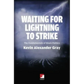 Waiting for Lightning to Strike: The Fundamentals of Black Politics