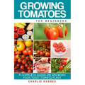 Growing Tomatoes for Beginners: A Complete Guide on Growing Your First Tomato Plant
