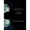 A Sleepwalk on the Severn