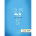 Docat: The Social Teachings of the Catholic Church