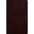 Large Print Personal Size Bible-ESV