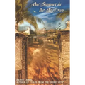 One Summer in the Old Town