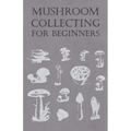Mushroom Collecting for Beginners