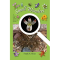 Small Wonders: A Closer Look at Some Hard-to-See Flowers