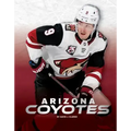 Arizona Coyotes