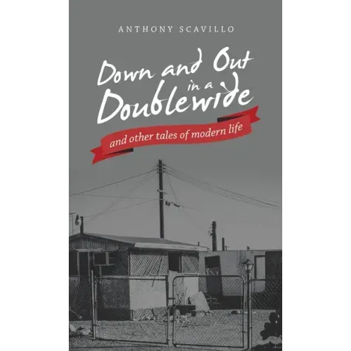 Down and out in a Doublewide and Other Tales of Modern Life